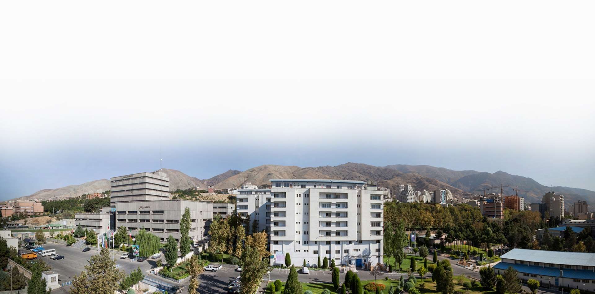 خدمات تخصصی 